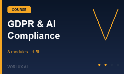 GDPR y Modelos de IA